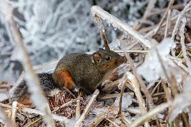 回合制大型策略游戏《地狱王座》Steam页面上线 明年发售